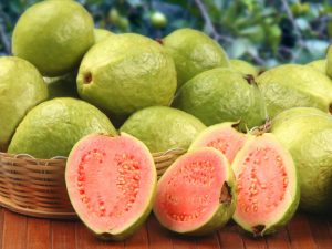 المعهد الذهبي | فوائد الجوافة Guava