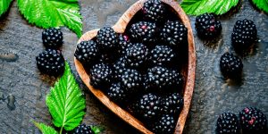 المعهد الذهبي | فوائد التوت Blackberries