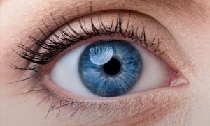 المعهد الذهبي | علاجات لبعض أمراض العين ومأكولات مفيدة لصحتها