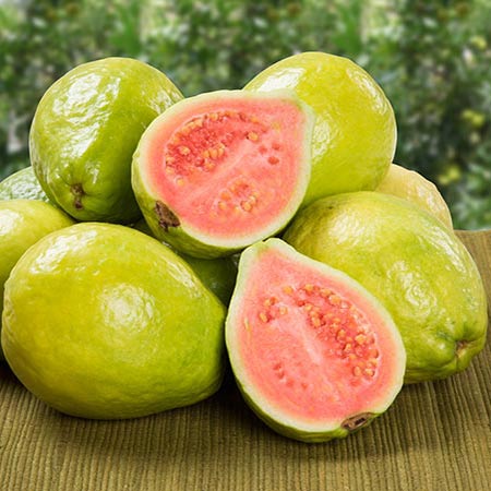 فوائد الجوافة Guava
