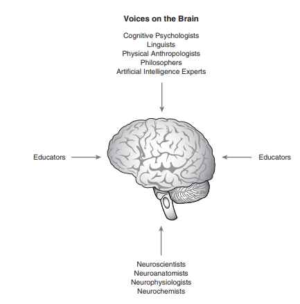 المعهد الذهبي | التعليم المتوافق مع الدماغ