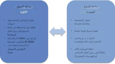 المعهد الذهبي | تصنيف الأسواق الإلكترونية: نظرة شاملة على الأنواع والخصائص