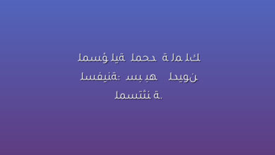 المسؤولية المحدودة لمالك السفينة: أسبابها والديون المستثناة.