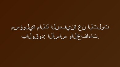 مسؤولية مالك السفينة عن التلوث بالوقود: الأساس والإعفاءات.